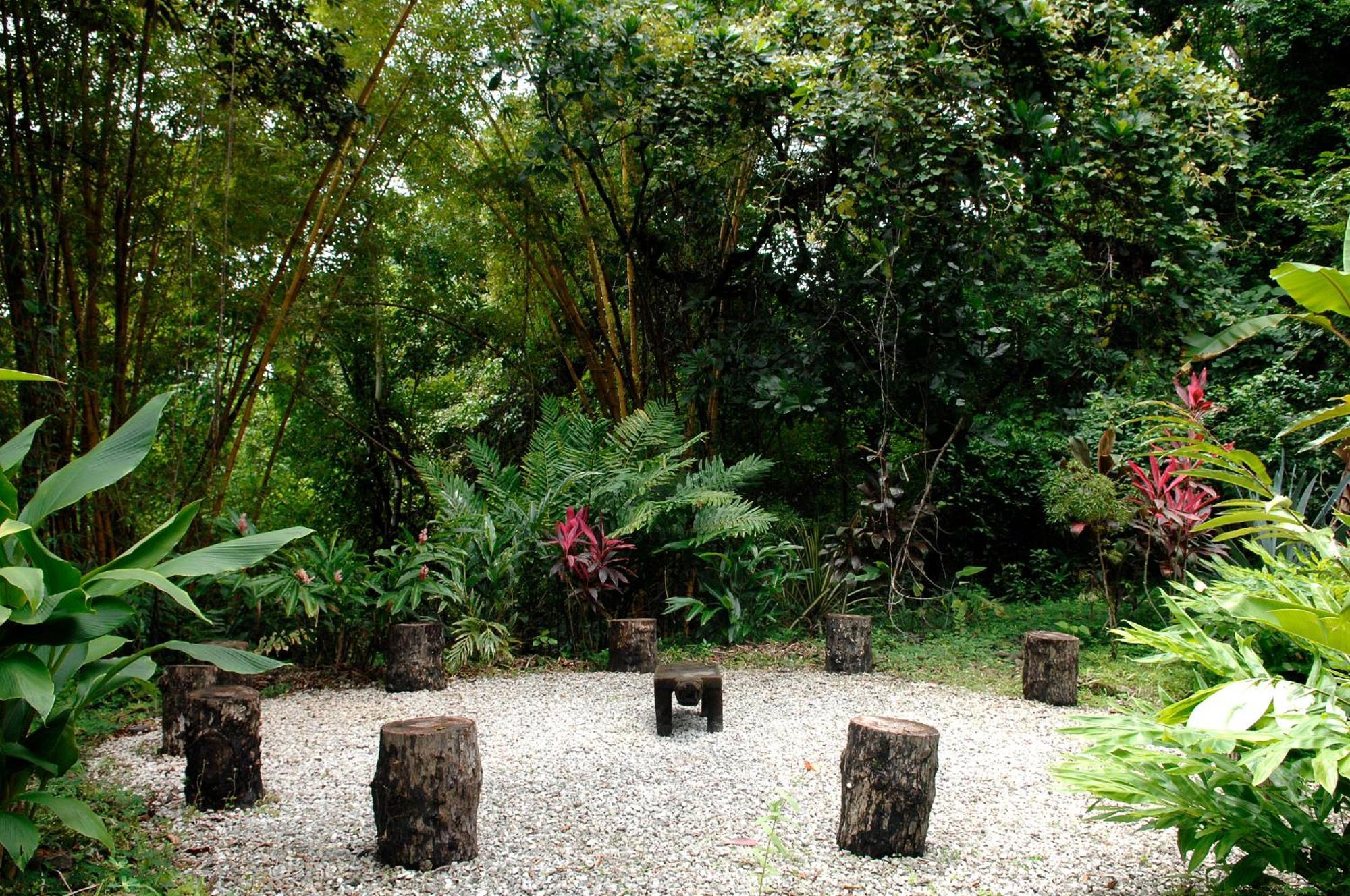 Star Mountain Jungle Lodge - Mal Pais, Santa Teresa Malpais Exterior photo