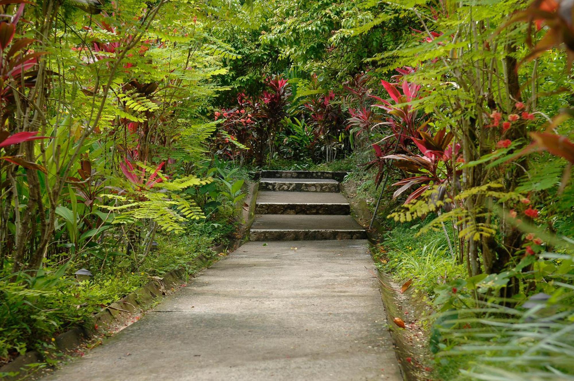 Star Mountain Jungle Lodge - Mal Pais, Santa Teresa Malpais Exterior photo