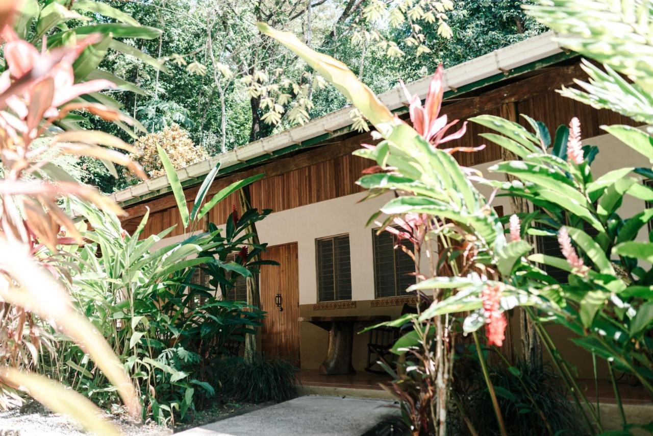 Star Mountain Jungle Lodge - Mal Pais, Santa Teresa Malpais Exterior photo