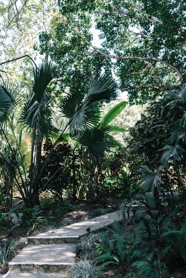 Star Mountain Jungle Lodge - Mal Pais, Santa Teresa Malpais Exterior photo